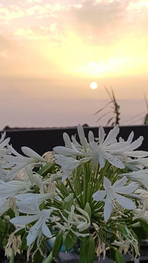 Casa Benedita 폰타 두 파르구 외부 사진
