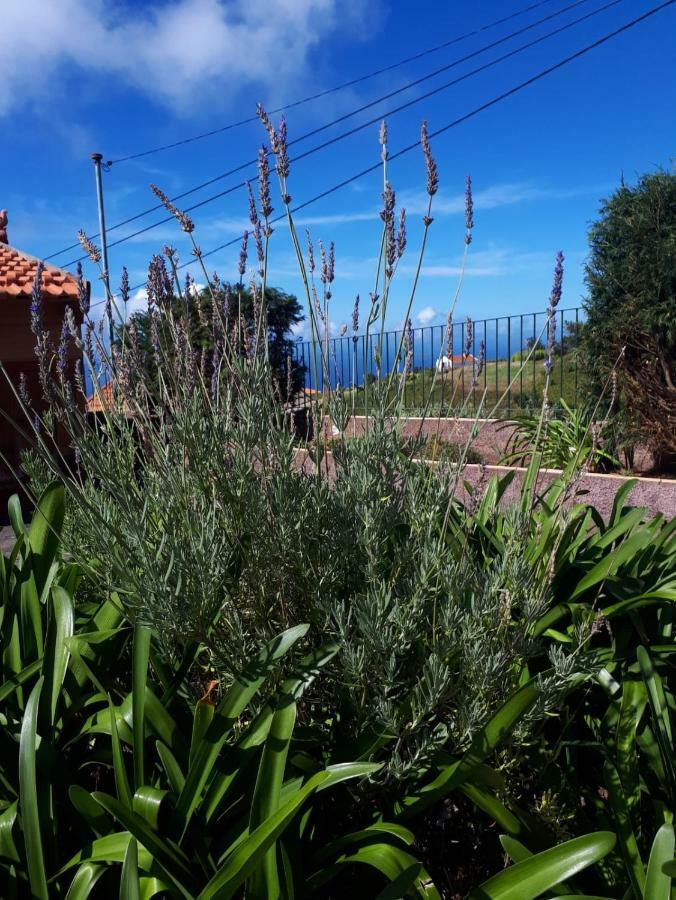 Casa Benedita 폰타 두 파르구 외부 사진